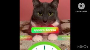 Preview 2 Лотков