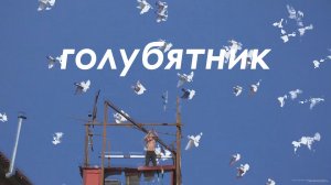 Скоро фильм Голубятник