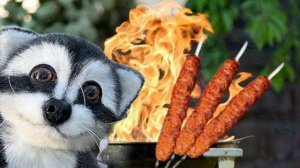 Отправились с енотом Сёмой в деревню. Учу Сёму готовить на мангале