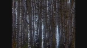 Большая звонница Спасо-Преображенского монастыря г. Ярославля - Встречный Звон