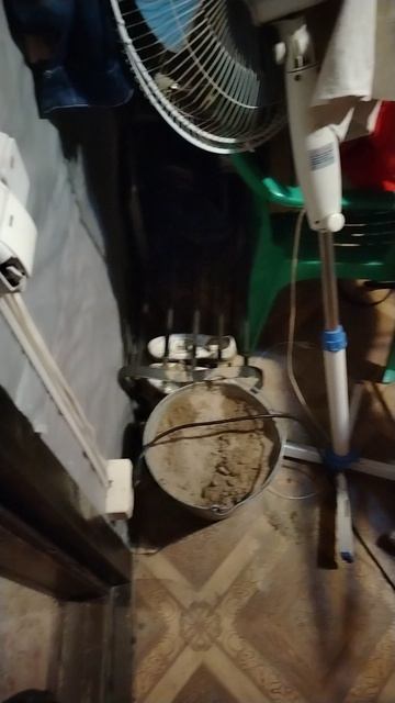 Ворон Гриша, замена подстилки 31.08 часть 2