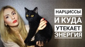 🔺Нарцисс вампирит Энергию🔻