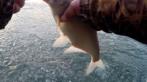 Закрытие зимнего сезона на Весёловском Водохранилище Часть 2. февраль 2026 г.