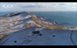 LIVE: C.A.Y. Records Digital Record Label