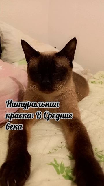 Клеопатра
#факты #история #уход #жизнь # #радость #интересно #рекомендации #популярное #подборка #ко Клеопатра
#факты #история #уход #жизнь # #радость #интересно #рекомендации #популярное #подборка #ко