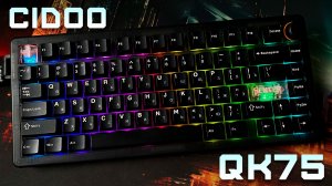 Программируемая механическая клавиатура | Обзор Cidoo QK75