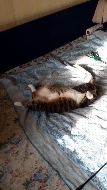 Как уютно в холода!