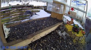 🔴 24 LIVE Главная Кормушка