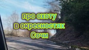 Красивая дорога на Красную волю, 21-02-2026