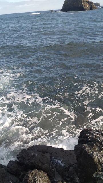 1000197966.mp4 смотреть онлайн