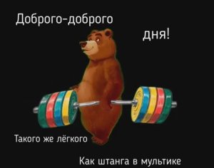 Медведь и штанга.