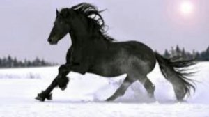 24 февраля - Власьев день, Коровий праздник