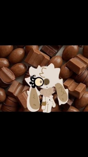 знакомьтесь, это Бон бон