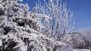 23 февраля. Природа