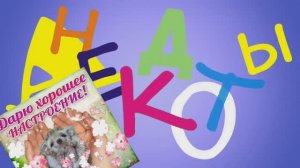 Убойные анекдоты для хороших сновидений. Не забывайте подписаться.