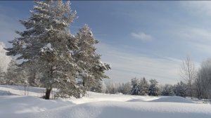 22,23-02-2026💥Влог💥природа📖комментарии 🇷🇺 с праздником