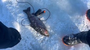 copy_82D5BEC5-701D-4F2B-8652-BB0C2DDFF2B0