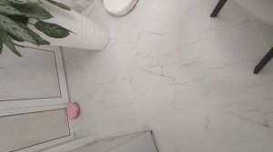 ОХОТНИК ЗА КОШАЧЕЙ ШКУРОЙ МИКРОБ