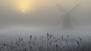 Что у Мужчины в доме 🏡 на сердце 💔 в любви прямо сейчас 🤔