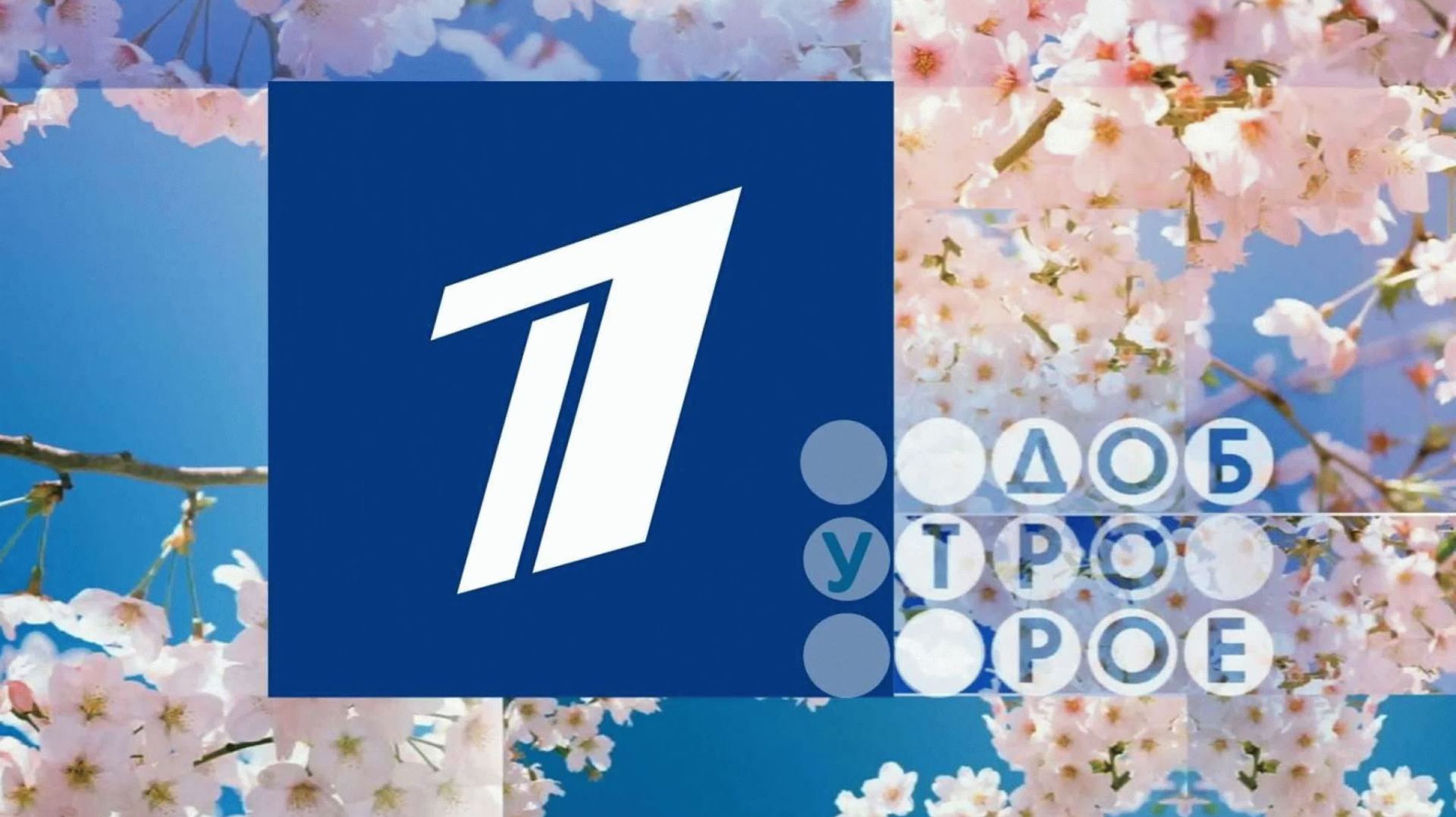 Кавер шоу-группа Z.M.PROJECT – 1 канал "Доброе утро" смотреть онлайн