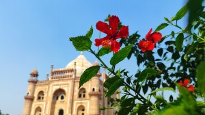 4. Парк Лоди Гарден (Дели, Индия)