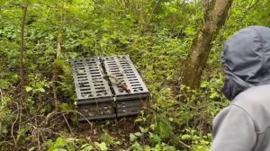 СПУТНИК гусеничный вездеход, прохождение оврага с буреломом