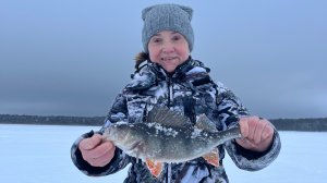 Карелия. Сямозеро. Все на глубине пролетели. А мы у берега таскали лаптей.