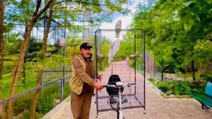 Вы только посмотрите КАК ГОРДО Кирочка едет в свой вольер сидя на вольере Жорика!