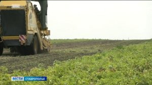 На Ставрополье увеличат площади орошамых земель