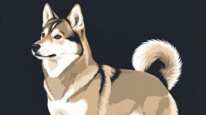 Наш новый питомец, западно-сибирская лайка Норд-Тым.