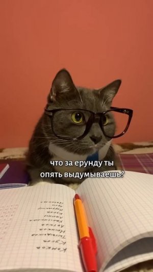 ЕСЛИ БЫ КОТИКИ ХОДИЛИ В ШКОЛУ - ПРИЗРАК