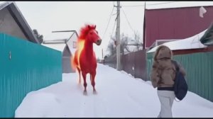 Проверили дачу/Обзор покупок из "Победы"/Нагуляли аппетит/Эффекты нейросети/Жизнь в России 🇷🇺