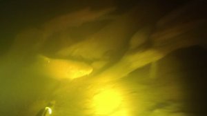 Подводная охота в феврале.