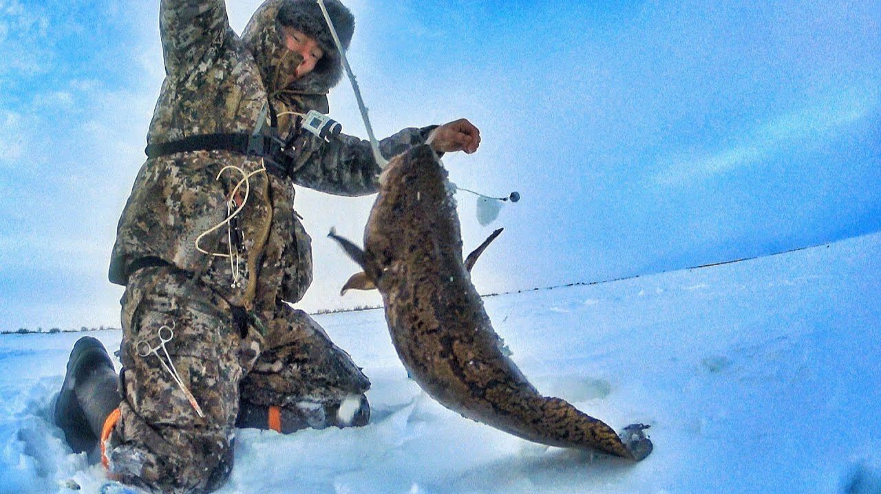 Приехал с Первым Солнцем. Утренняя Русская Рыбалка в — 45. Лучшие Моменты ловим всё подряд Приехал с Первым Солнцем. Утренняя Русская Рыбалка в — 45. Лучшие Моменты ловим всё подряд