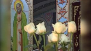 Выпуск 22.02.2026 г.