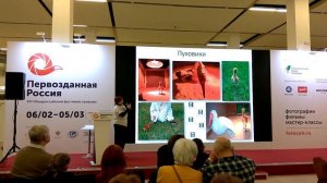 Пять стершат. Доклад о выращивании стерхов для выпуска в природу