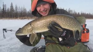 КОВАРНЫЙ ПЕРВЫЙ ЛЕД! Я ПРОВАЛИЛСЯ! Первый лёд  2025. Зимняя рыбалка