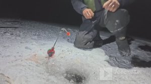 наловил крупной густеры ночью на донку