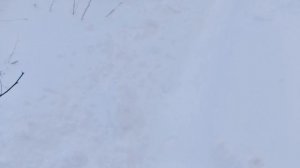 Снег,снежок...