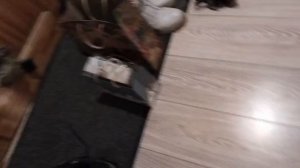 Системы завоют ракетная тревога