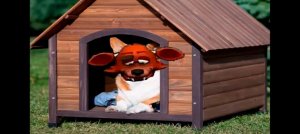 проходим fnaf 2 со второй ночи