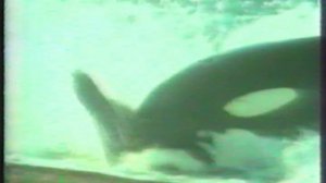 "Случайный свидетель"(отрывок). REN-TV/10 канал (Екатеринбург). Июль 2001г.