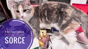 РАСПАКОВКА | In Dreams and Fairy Tales Blueberry от Sorce