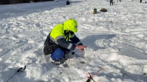 Поимки продолжаются