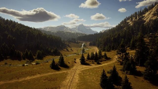 Симфония пения лесных птиц 🎶 • Расслабляющий звуковой ландшафт для глубокого сна смотреть онлайн