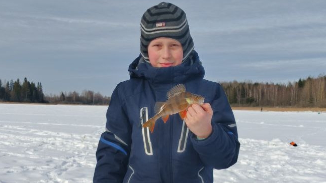 зимняя рыбалка 2026 года. рыбалка на окуня. зимняя рыбалка 2026 года. рыбалка на окуня.