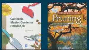 Все деревья обрезаются одинаково???