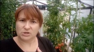 июль 2025/ Первая консервация