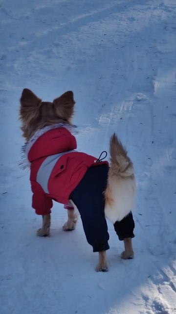 100м за 9с😜 #старт #бег #природа #лес