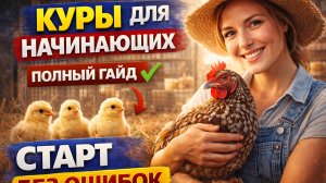 КУРЫ ДЛЯ НАЧИНАЮЩИХ 2026 — Полный гайд без воды | Старт без ошибок и лишних трат
